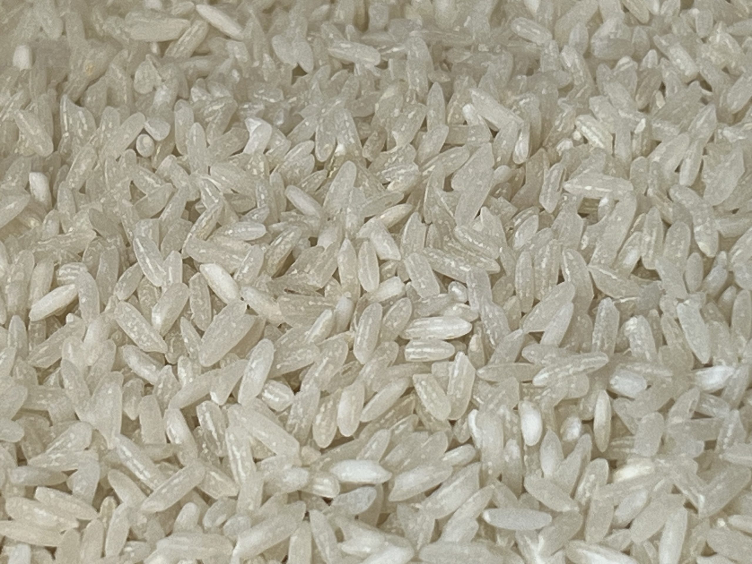 picture of rice for how to make rice